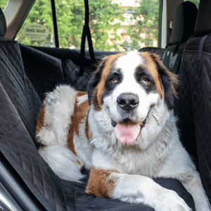 The Best Dog Car Seat Cover in 2024: Protecting Your Car and Your Pup