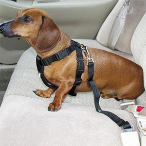 Dog Seat Belt - WoofAddict