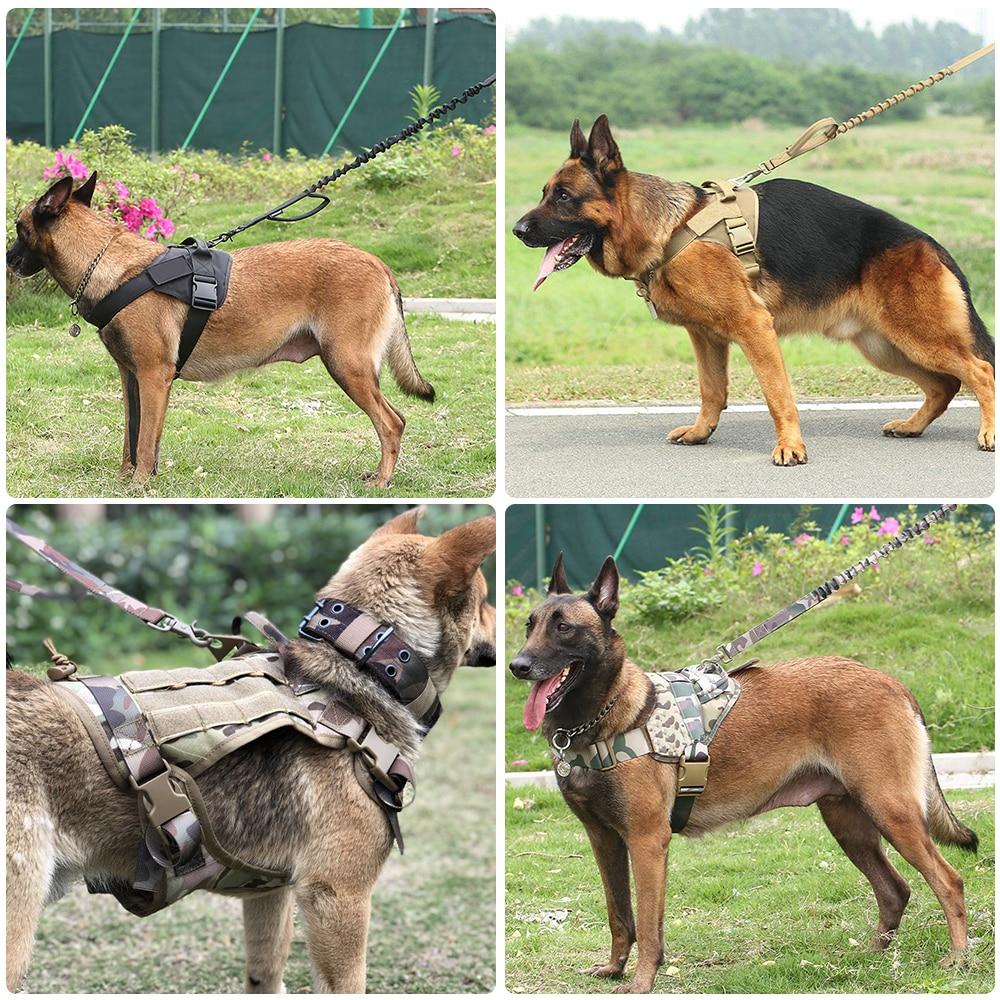 DogWalkPro Dynamic Bungee Dog Leash - WoofAddict