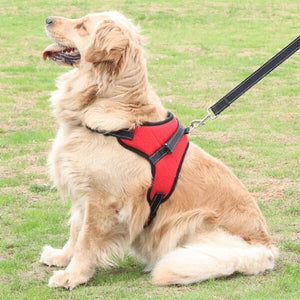The ComfySnug™ Adjustable No-Choke Dog Harness - WoofAddict